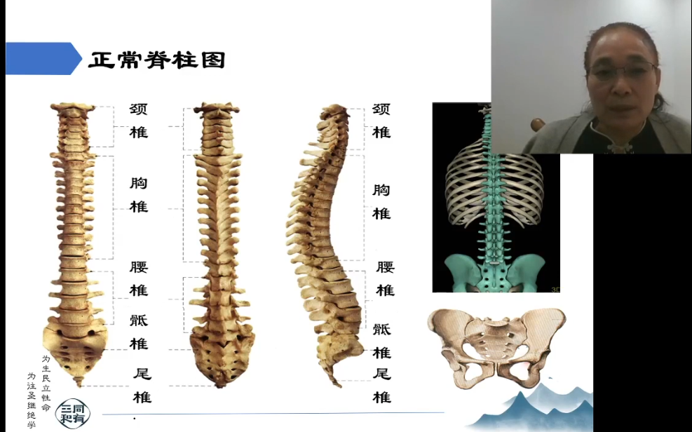 高圣洁老师:健康从脊柱开始之理论篇哔哩哔哩bilibili