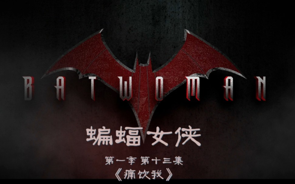 【蝙蝠女侠Batwoman】1080p第一季第十三集S1E13(Kate Kane) Ruby Rose饰cut哔哩哔哩bilibili