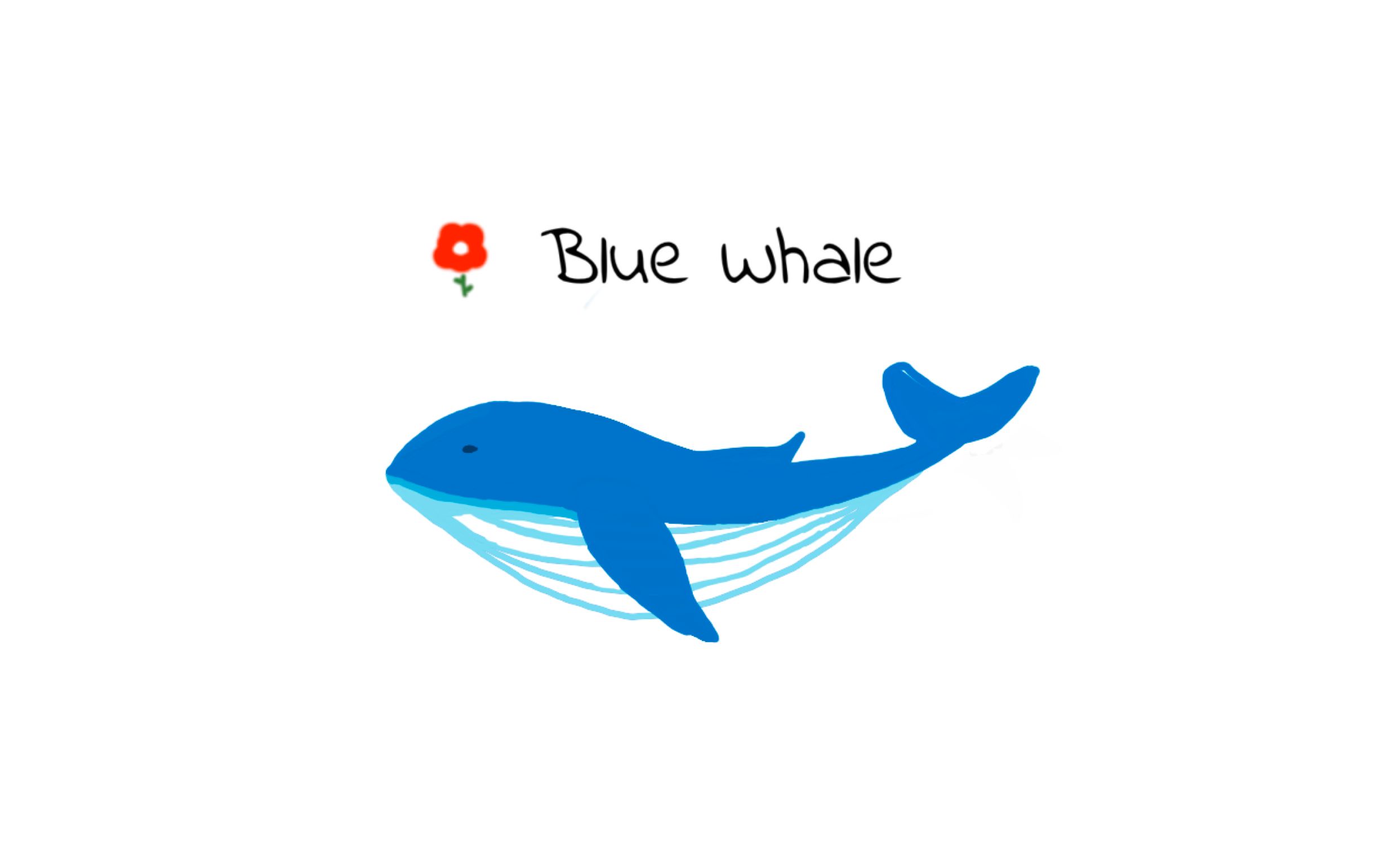 奇怪的科普深海歌手不再孤独bluewhale蓝鲸