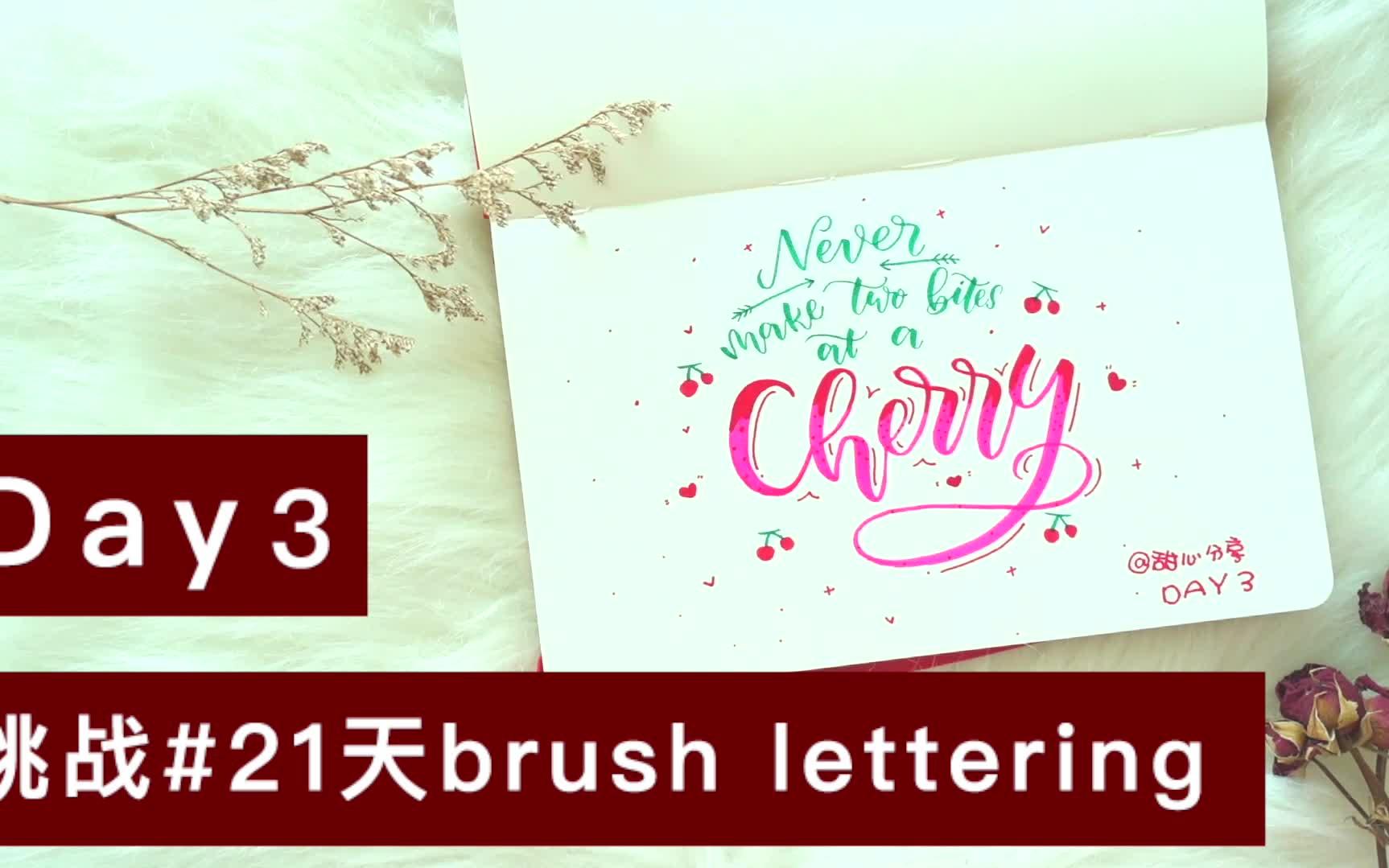 【甜心brush lettering#6】教程 | 手写英文花体 | 派通touch | 蜻蜓双头笔刷 | Moleskine |甜心分享手写vlog哔哩哔哩bilibili