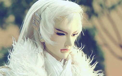 绮罗生—我在船上的日子