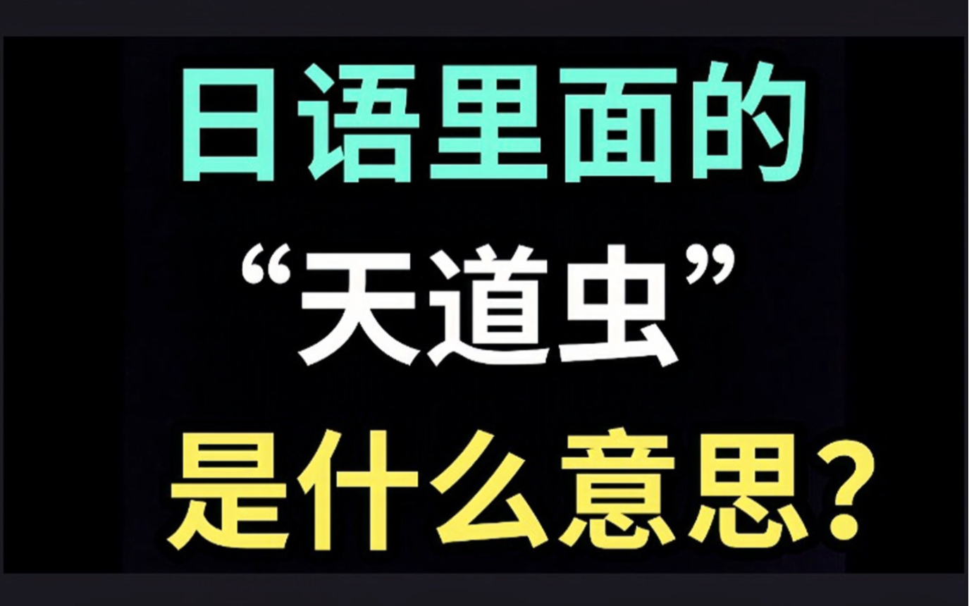 [图]日语里的“天道虫”是什么意思？【每天一个生草日语】