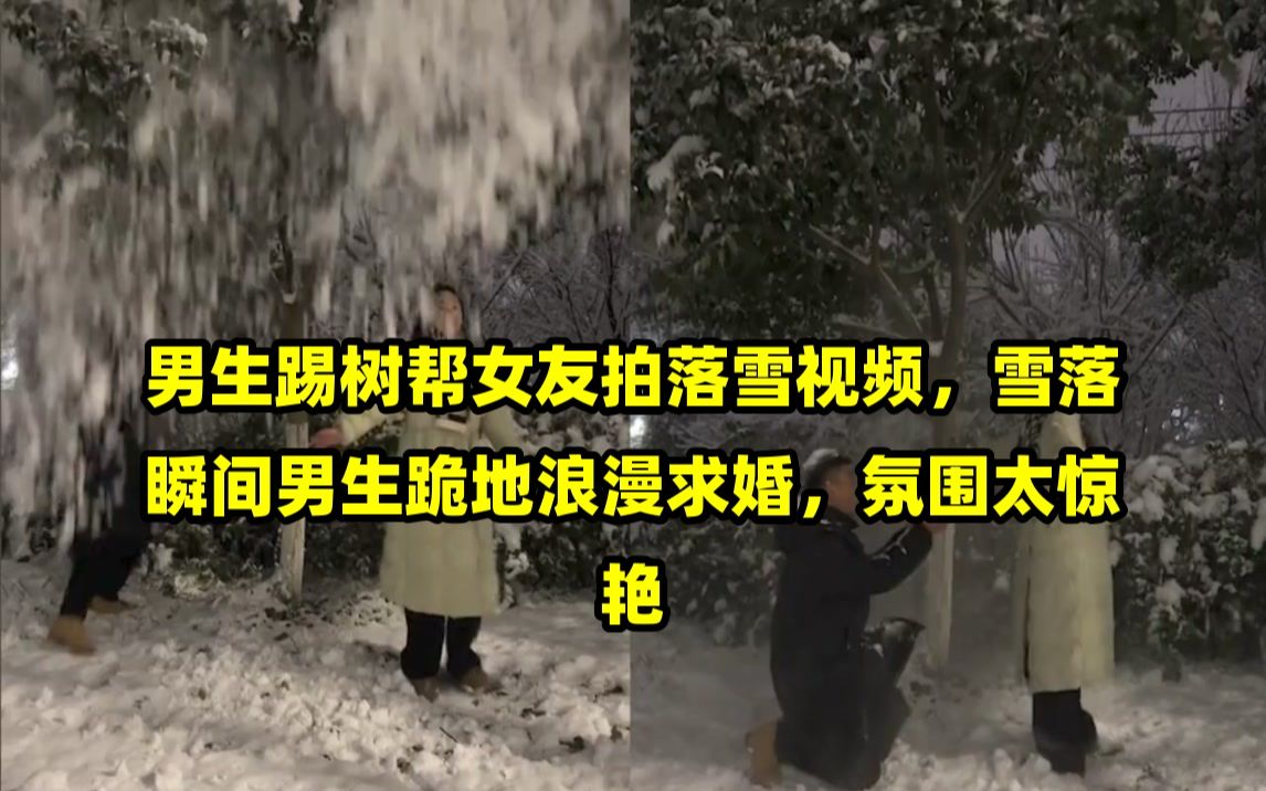 [图]男生踢树帮女友拍落雪视频，雪落瞬间男生跪地浪漫求婚，氛围太惊艳