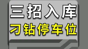 Download Video: 三招搞定各种停车场奇葩停车位