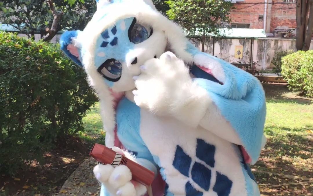 【Fursuit】雪潇第一次出毛的片尾,再放送~哔哩哔哩bilibili