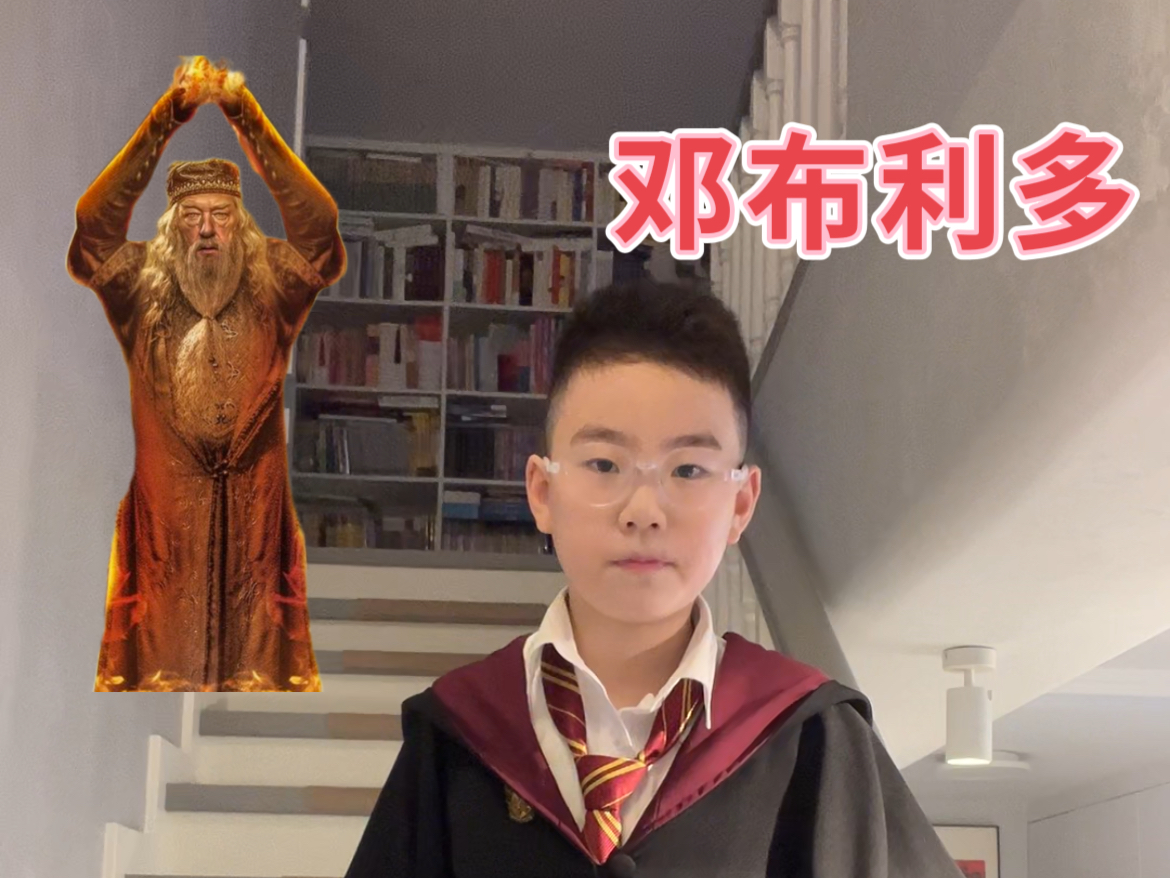 Harry Potter哈利波特之邓布利多哔哩哔哩bilibili