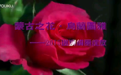 [图]乌兰图雅《送你一首吉祥的歌》演唱会预告片