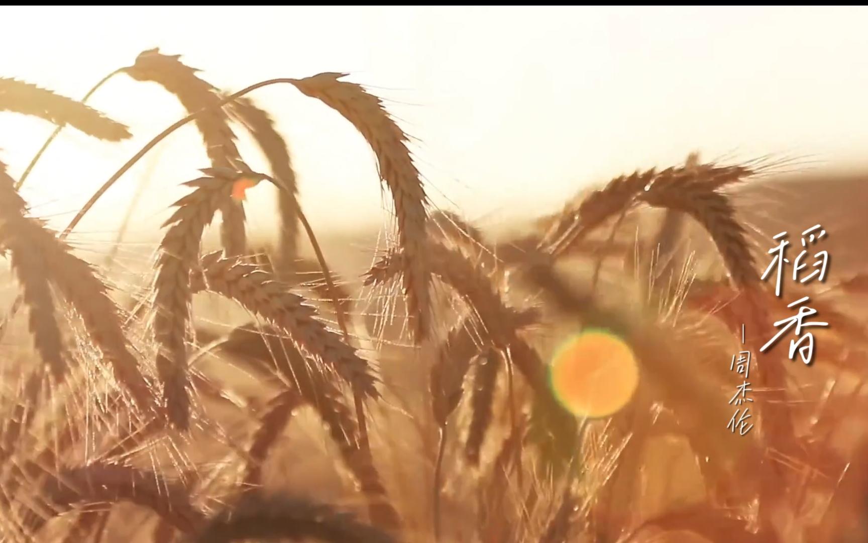 一起听首歌《稻香》-周杰伦