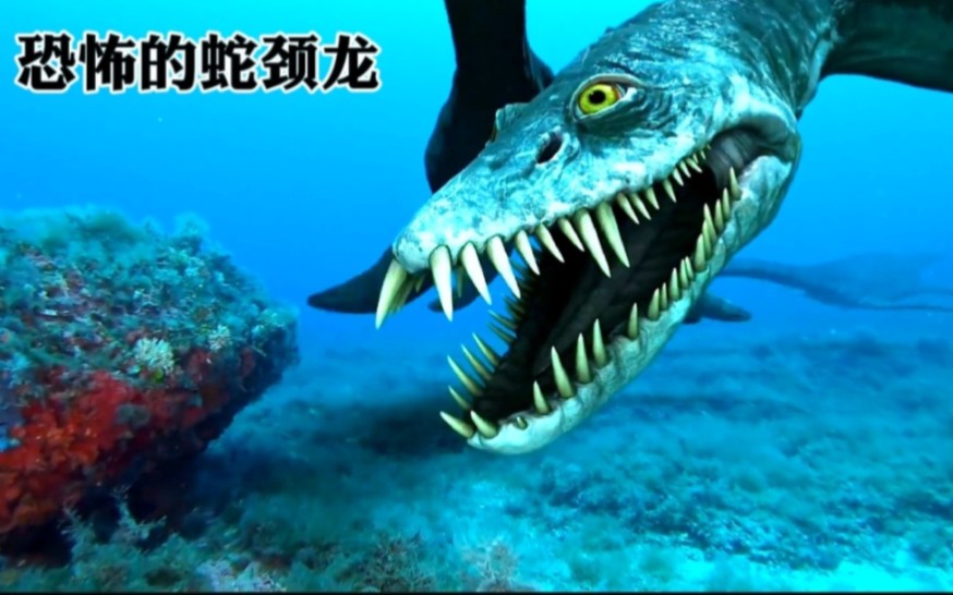 蛇颈龙vs沧龙图片