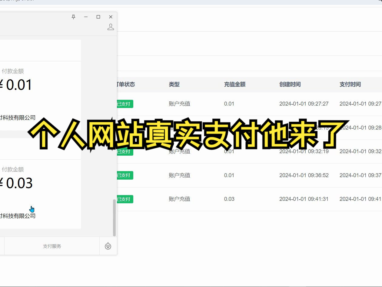 个人网站真实支付收款他来了哔哩哔哩bilibili