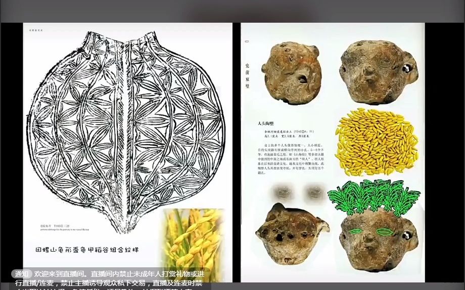 浙江省文物考古研究所所长方向明:《中国古代宇宙观的滥觞:以长江下游史前考古发现为例》2023.2.4下哔哩哔哩bilibili