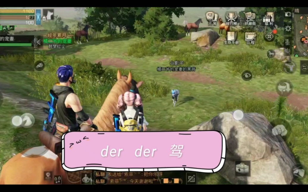 明日之后南印洲的小菜鸟