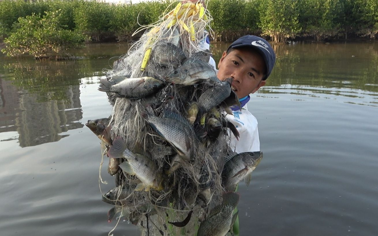 小池去荒塘收地笼,自己没抓到多少鱼,却帮别人抓鱼抓爆网