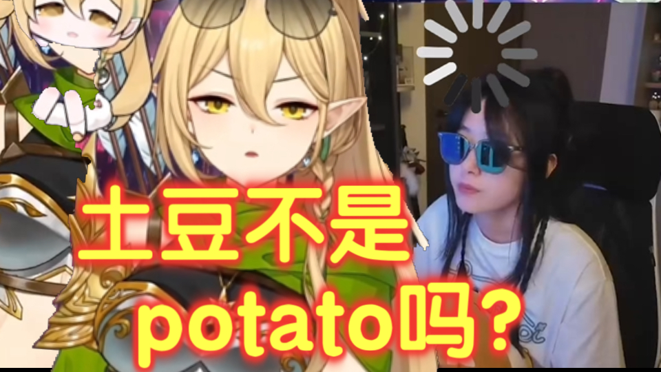 土豆是特码头??土豆不是potato吗??哔哩哔哩bilibili