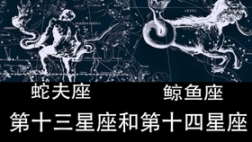 神奇的第十三 十四星座 到底什么叫蛇夫座 鲸鱼座 哔哩哔哩 つロ干杯 Bilibili