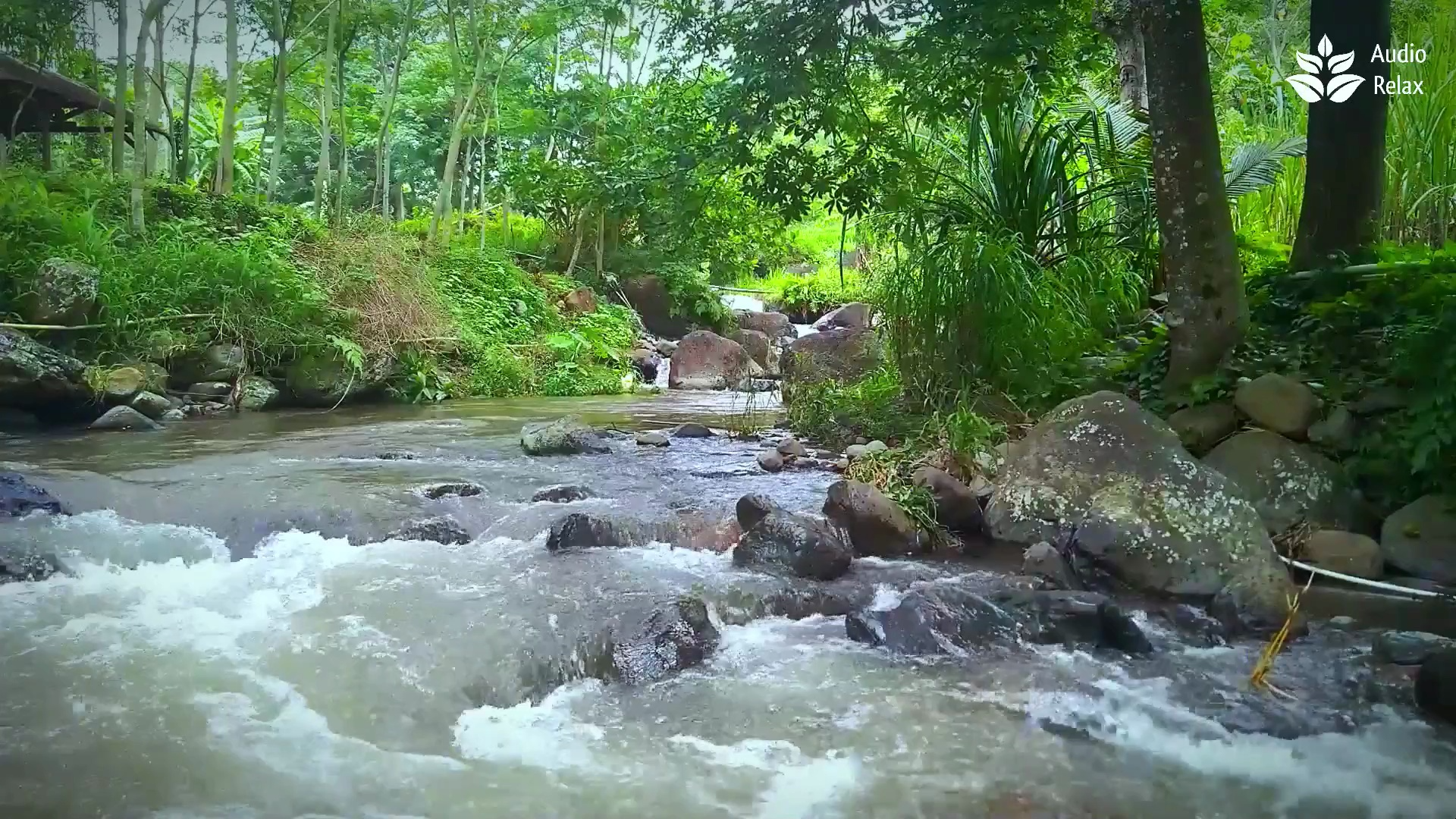 雨林中湍急的河水声. 流水声,自然白噪音助眠.哔哩哔哩bilibili