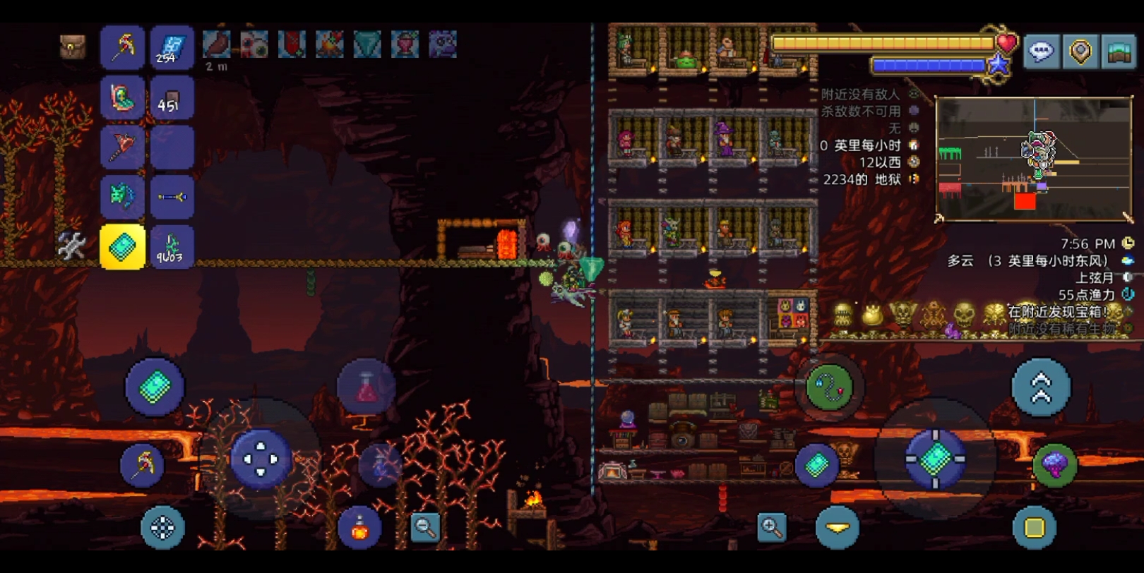 天顶微光空岛【10】世纪之花