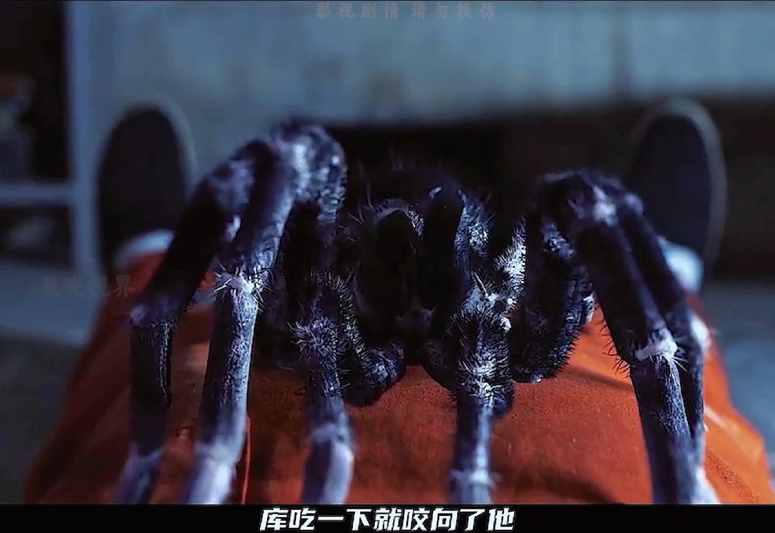 十宗罪蜘蛛经历过什么=十宗罪的蜘蛛后来怎么样了