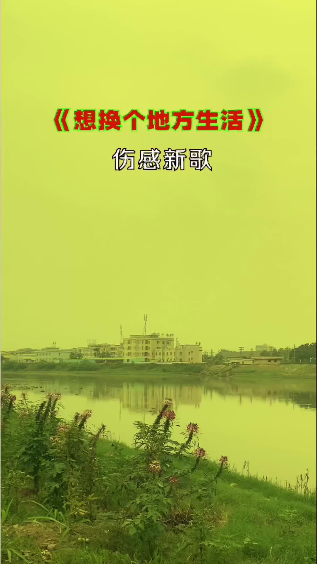 一次一次放过是什么歌
