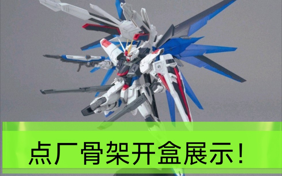 活动  点厂自由2.0 金属骨架带特典!开盒展示!