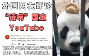 下载视频: 中国国宝中的“话唠”，和饲养员“无障碍交流”，YouTube各国老外评论！