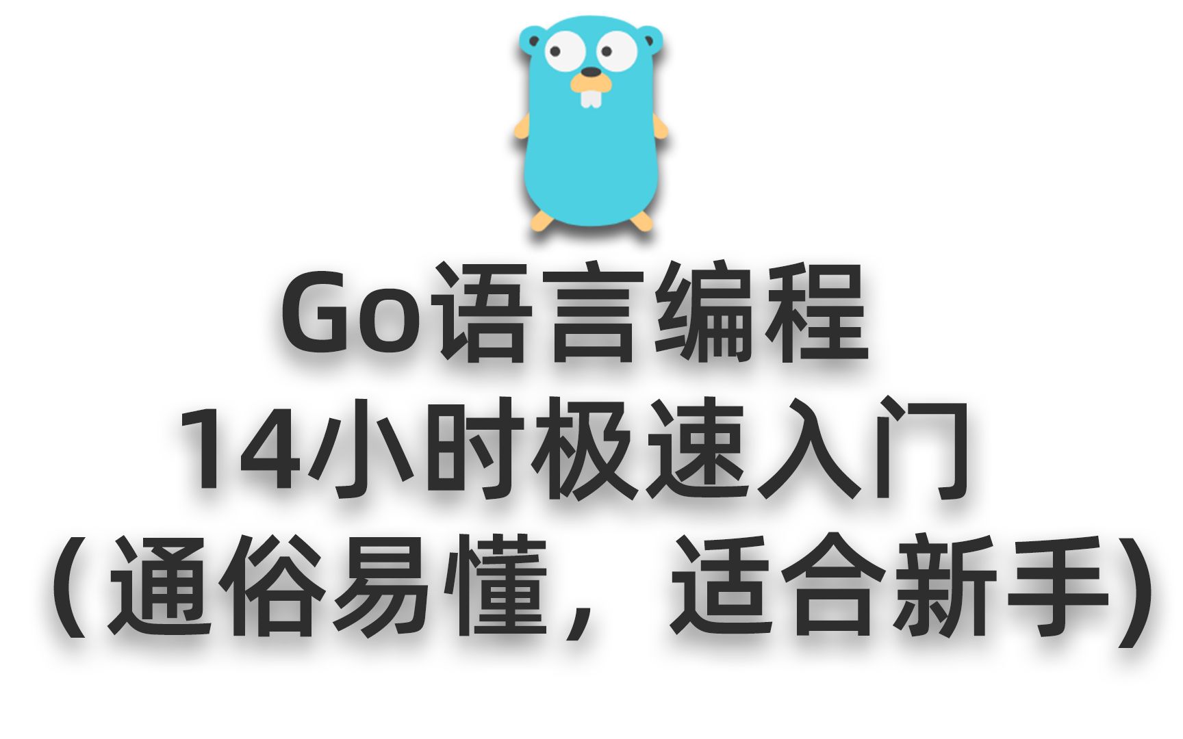 Go语言编程14小时极速入门(通俗易懂,适合新手)哔哩哔哩bilibili