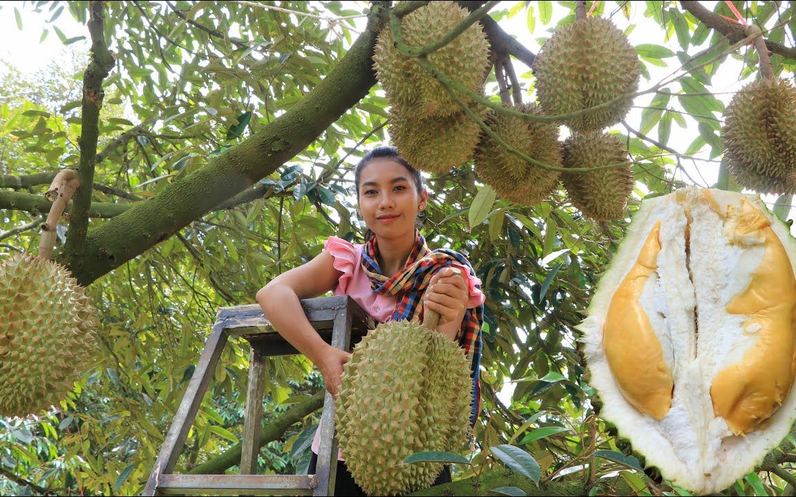 【大自然厨房】polin姐姐又去榴莲园了,金枕头做成榴莲冰淇淋,想吃!