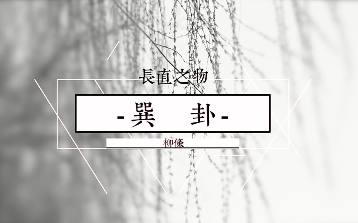 【秒懂易经】这样记忆卦象,想忘都难:代表“长直之物”的巽卦哔哩哔哩bilibili