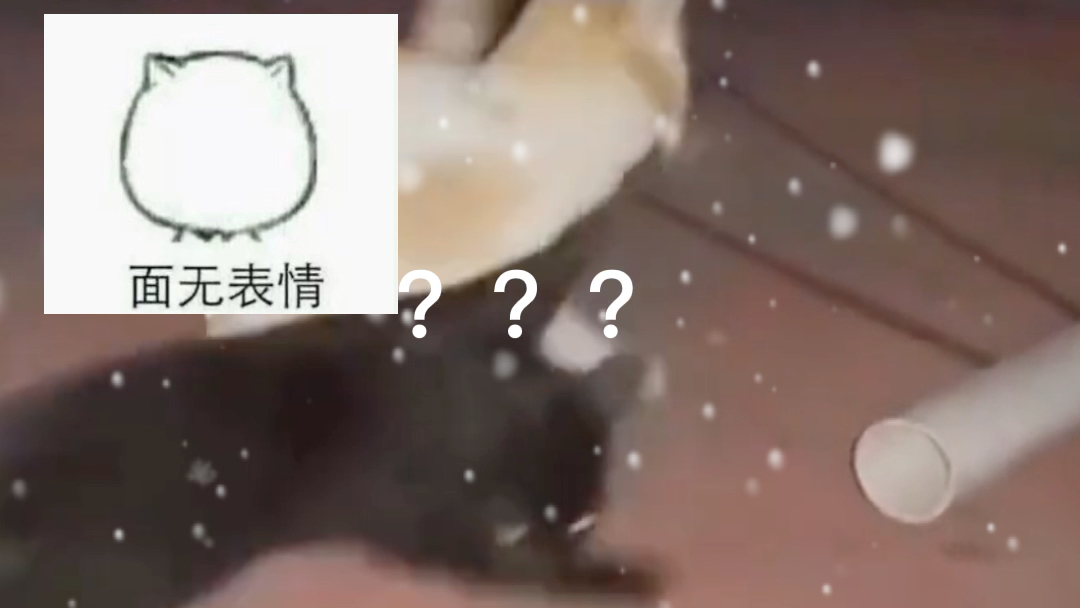 [图]黑猫：你能不能看看清楚