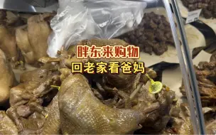 Download Video: 带着老婆孩子回老家、爸妈包的饺子、我买点吃的#胖东来 #年货