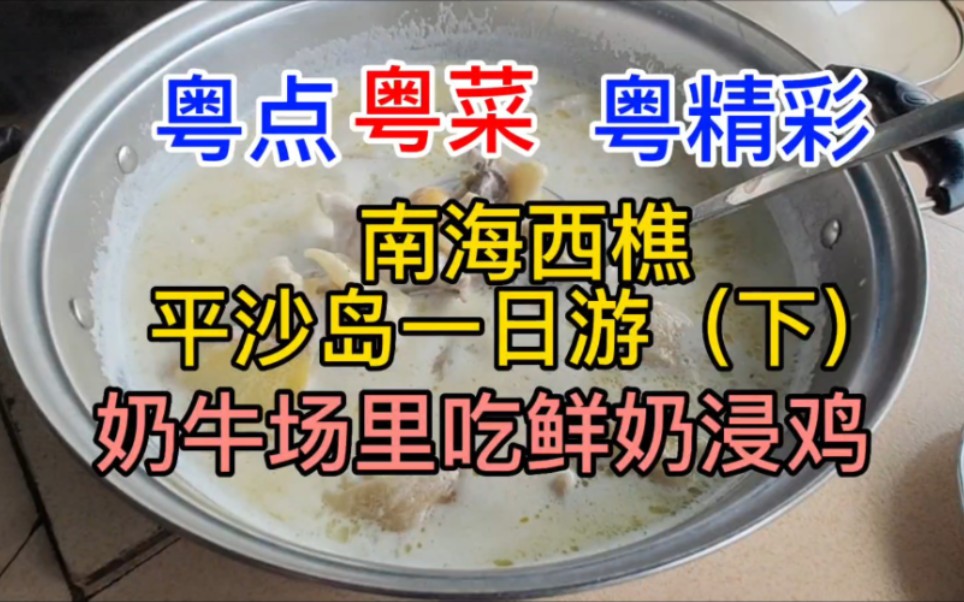 粤点粤菜粤精彩,南海西樵平沙岛一日游(下),奶牛场里吃鲜奶浸鸡,粤语2023324哔哩哔哩bilibili