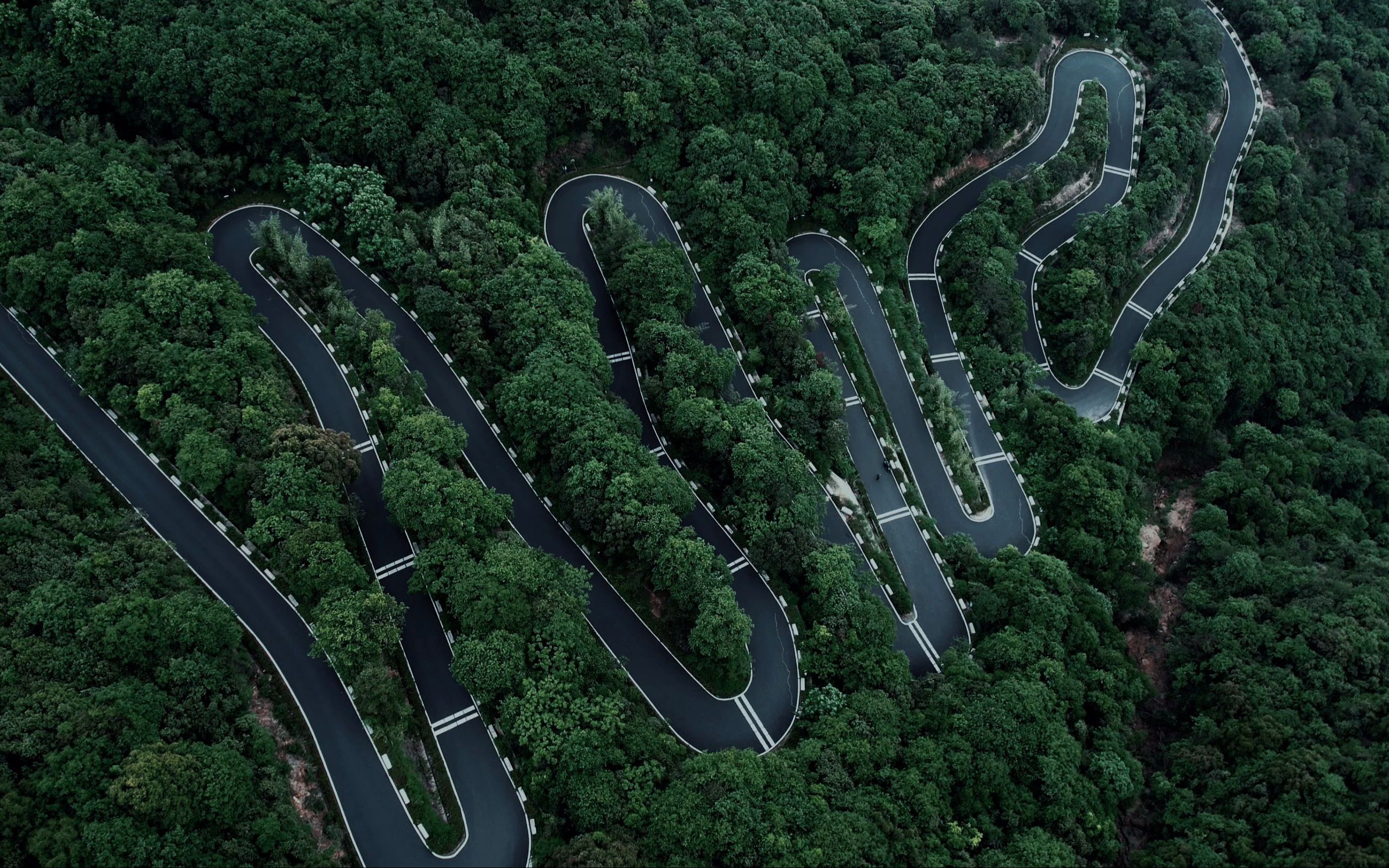 活动  中国"秋名山" 坐标四岭水库,七八连发卡弯