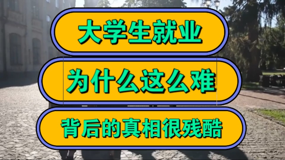 大学生就业,为什么这么难,背后的真相很残酷!哔哩哔哩bilibili