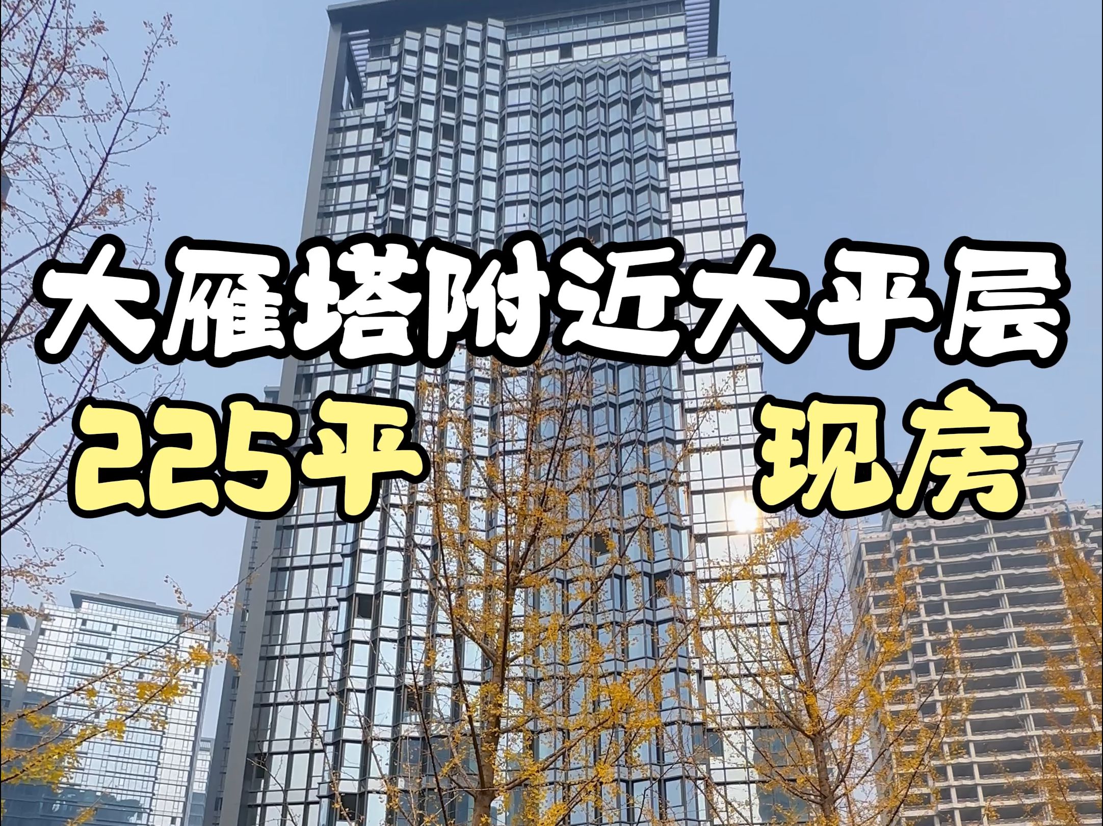 大雁塔附近大平层 225平 现房#西安买房#西安房产#西安大平层哔哩哔哩bilibili