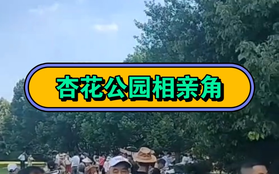 去过杏花公园相亲角吗,很赞哦.我现在是接受社会毒打后的谦逊和低调.