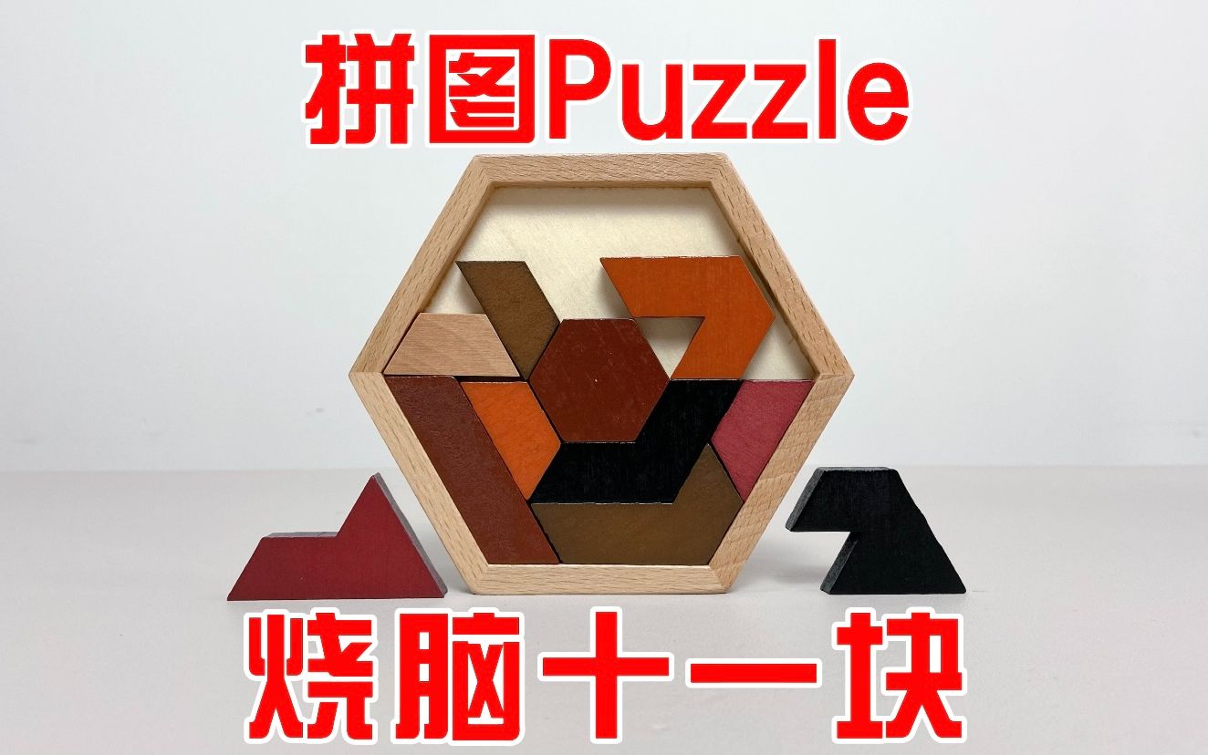 拼图Puzzle:烧脑十一块!8种拼图如何完美放入框内?哔哩哔哩bilibili