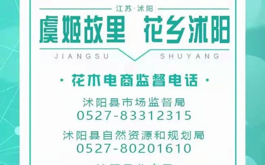 宿迁市沭阳县花木雷霆打假,最高处罚130万!哔哩哔哩bilibili