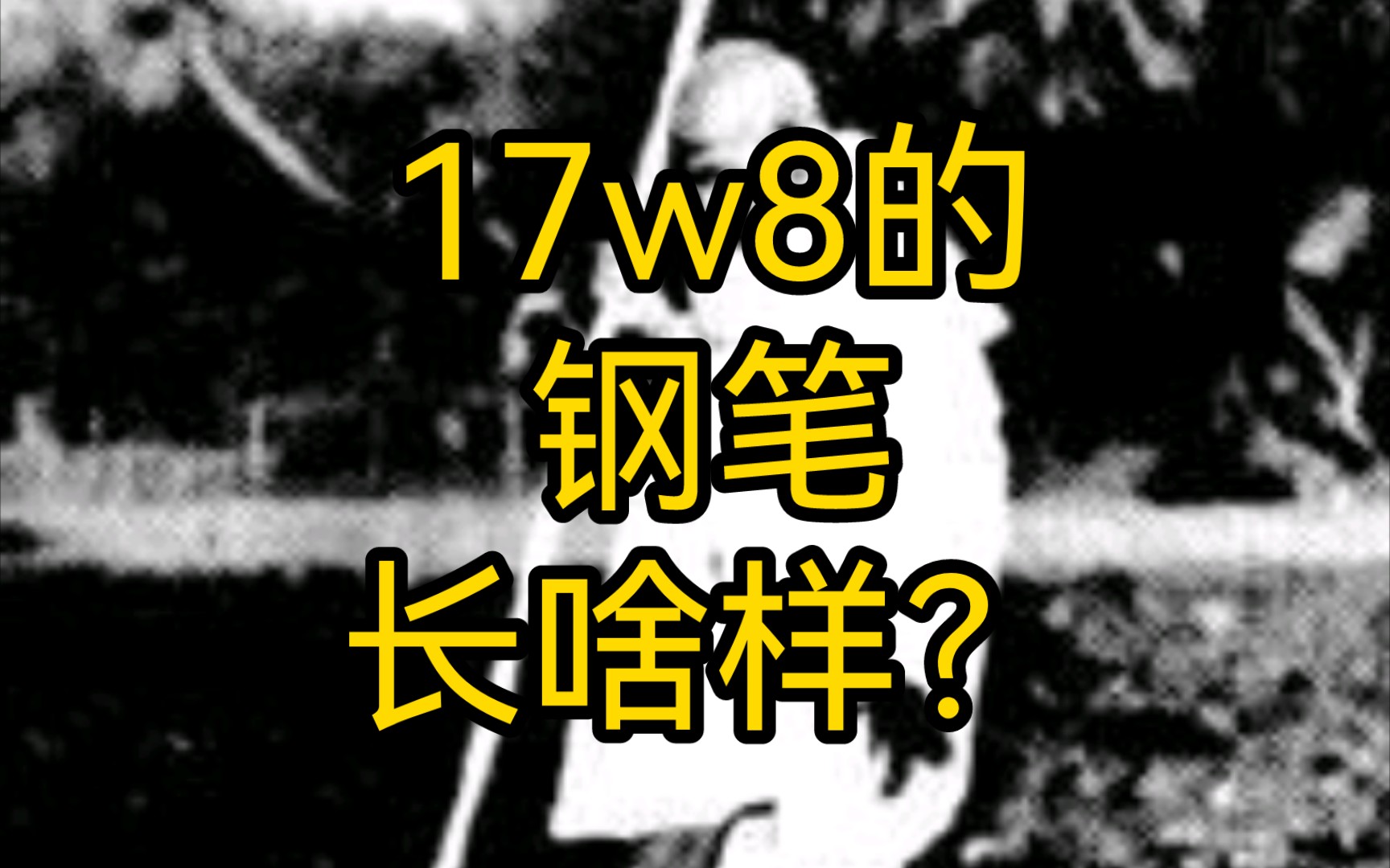 17w8的钢笔长啥样?哔哩哔哩bilibili