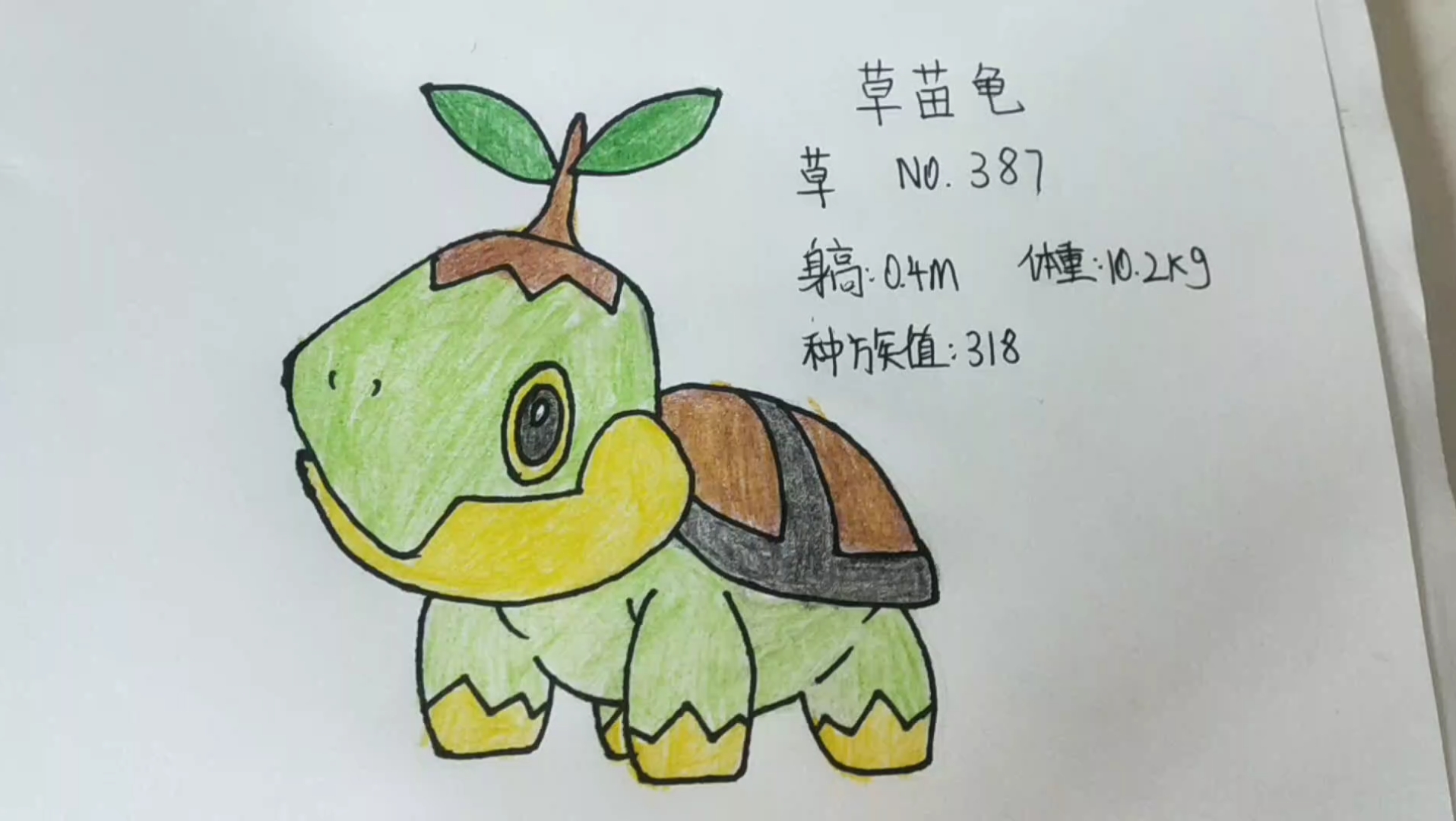 草苗龟,奉劝一句 ,御三家没进化时四只脚走路的,最好不要进化_哔哩