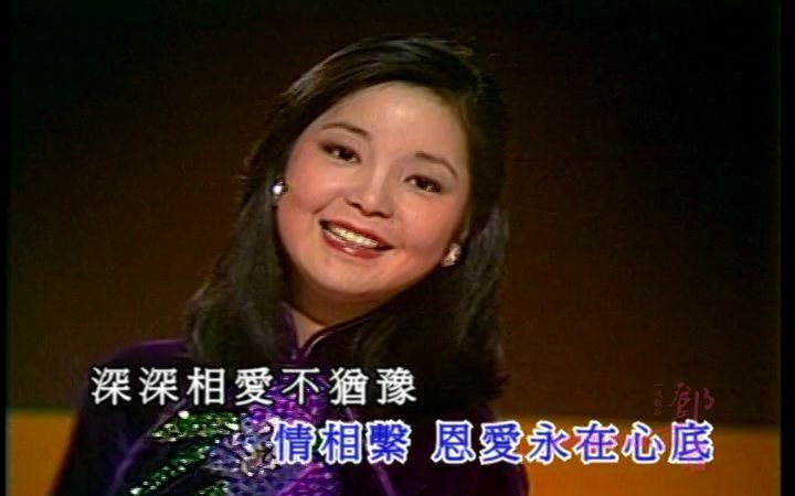 [图]1978 邓丽君 香港篇TV特辑 省流助手.iso 480p-60卡拉OK字幕部分