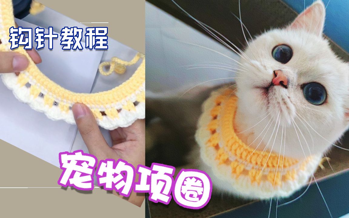 奶黄宠物项圈哔哩哔哩bilibili