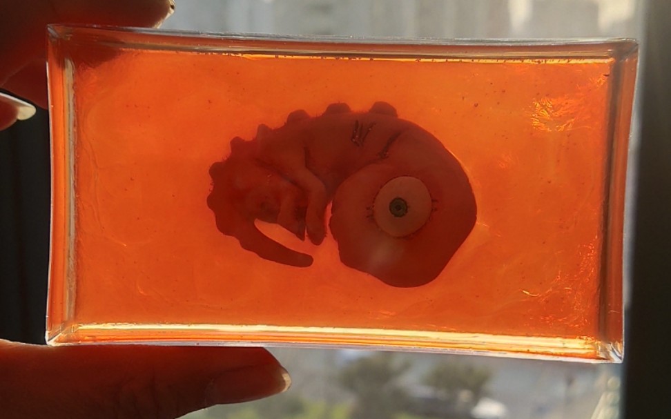 eva新世纪福音战士 使徒亚当,纯手工雕刻 手涂 滴胶_哔哩哔哩_bili