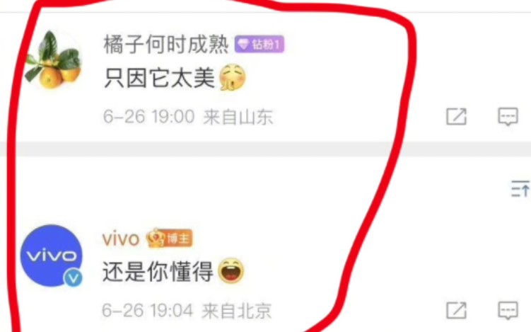 [图]vivo在蔡徐坤塌房后玩梗她的《只因你太美》，ikun集体破防