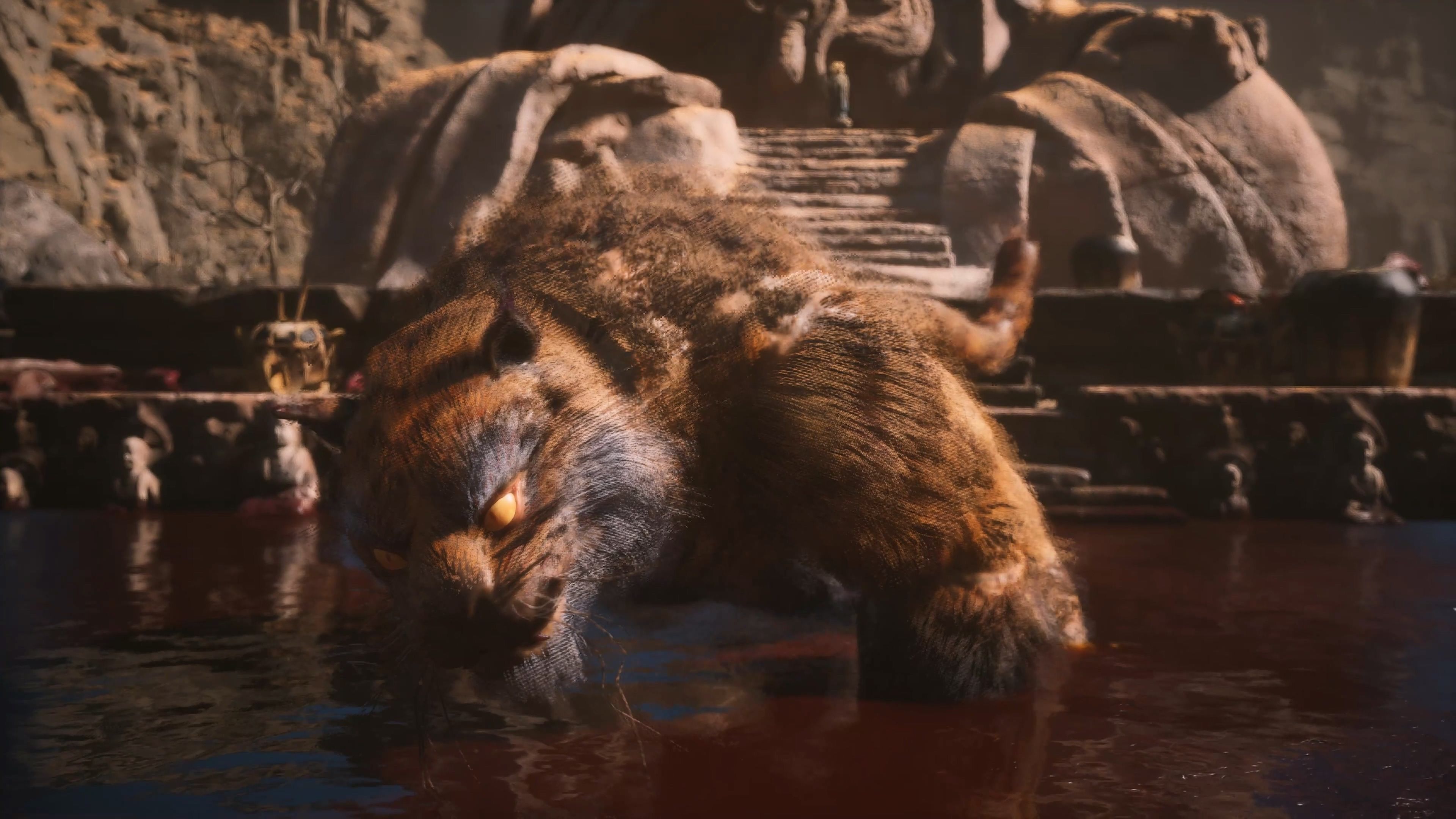 虎先锋一夜吃下几十个猴头,这是它就医前出现的症状.