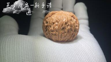 顽点东西/龙门涧一个新手玩家关于文玩核桃的分享（二）_哔哩哔哩_bilibili