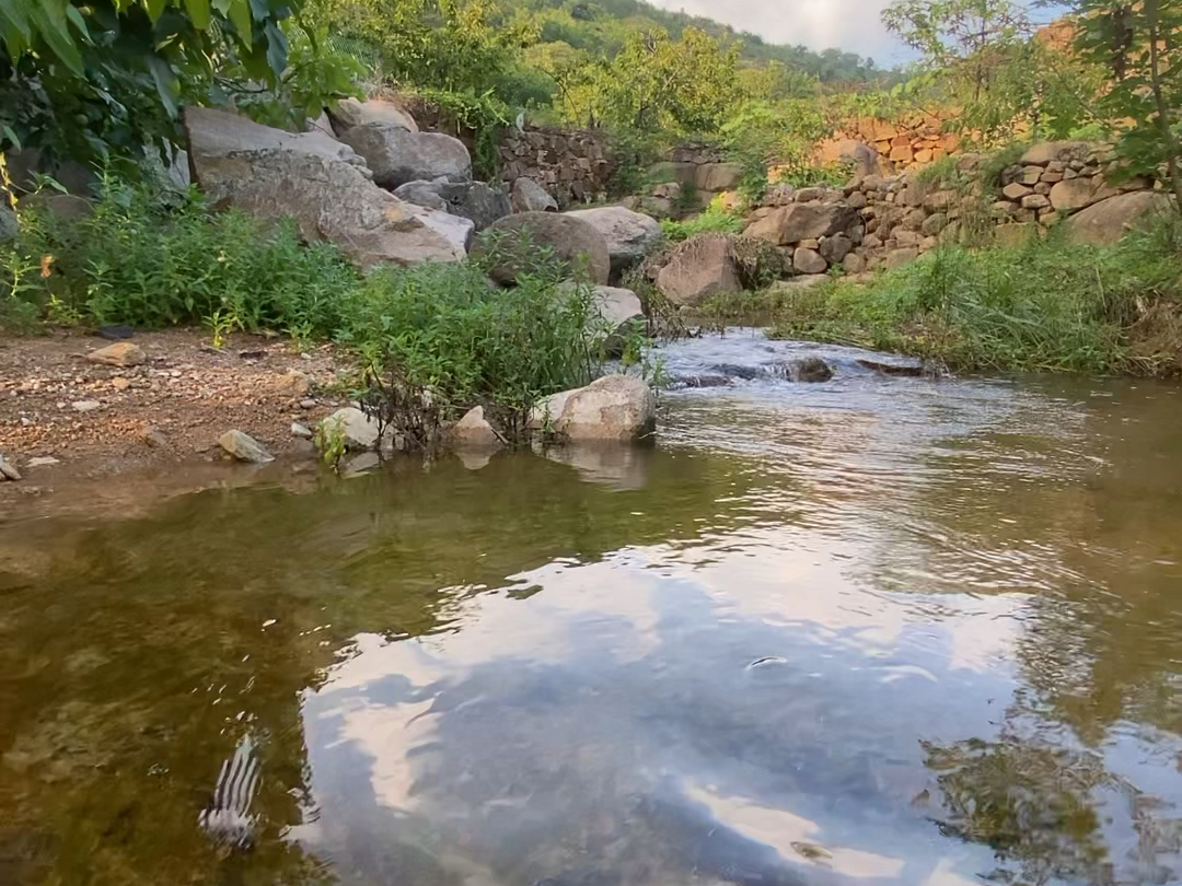 寄情于山水溪流,享一份清凉,舒心,解忧,治愈……#农村生活 #山间小溪