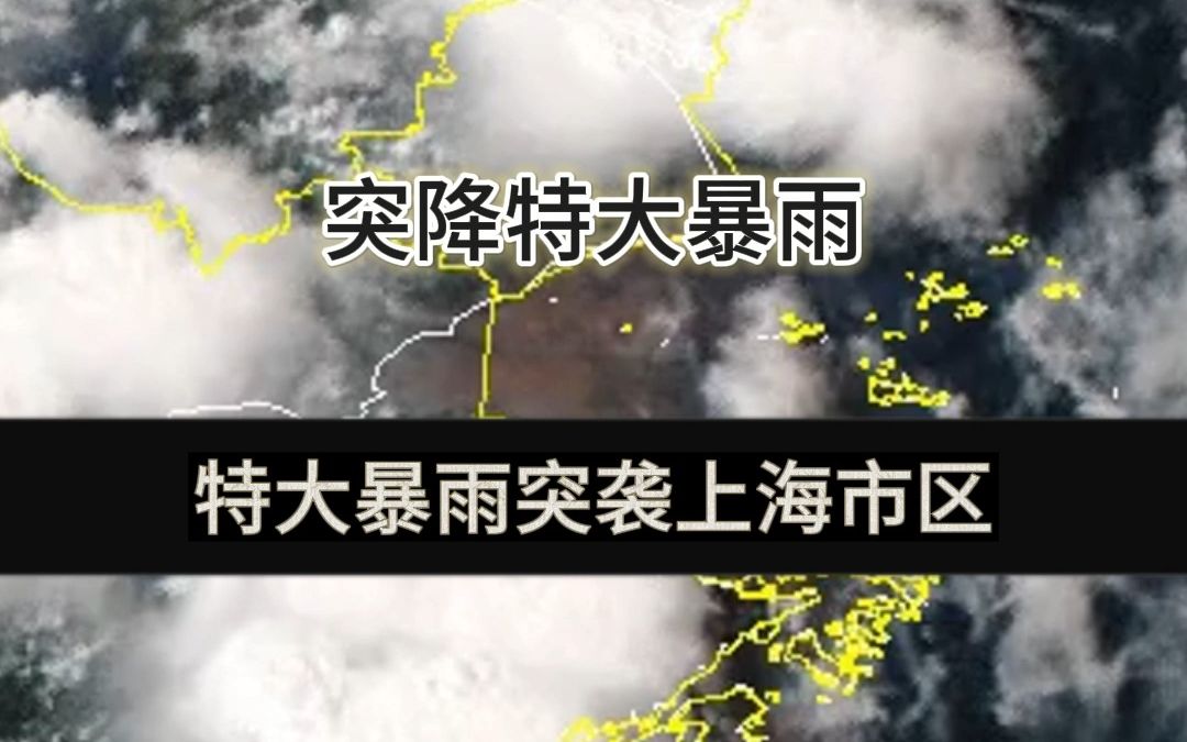 7月21日下午,特大暴雨突袭上海市区哔哩哔哩bilibili