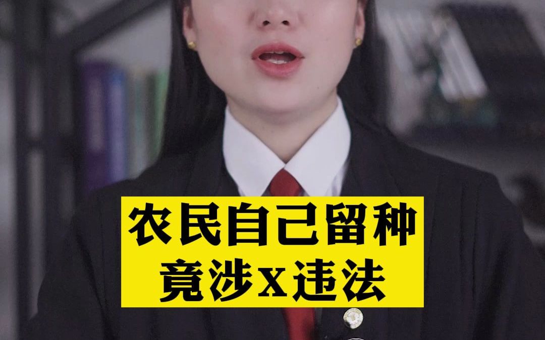 农民自己留种子,也可能违法了哔哩哔哩bilibili