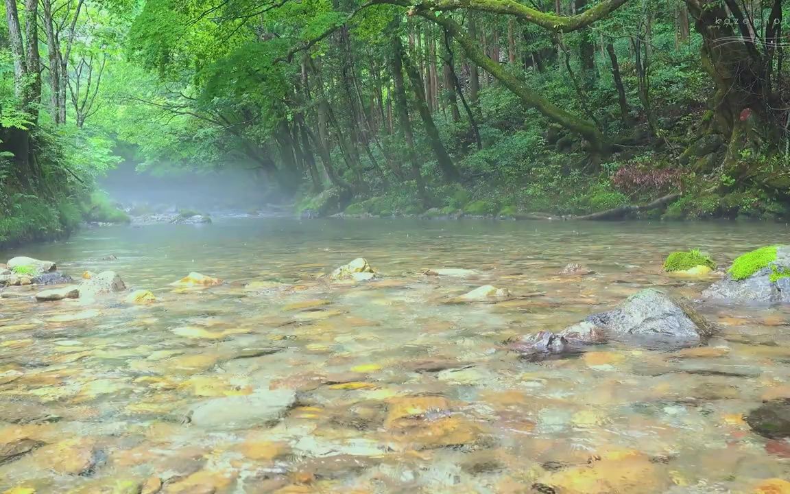 家乡的山水间  柔和的森林河流声音和鸟鸣声,回到绿色大自然真好!!哔哩哔哩bilibili