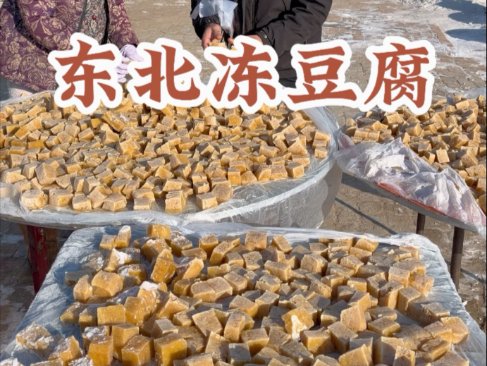 东北猫冬生活,做冻豆腐-福福兔和家人-福福兔和家人-哔哩哔哩视频